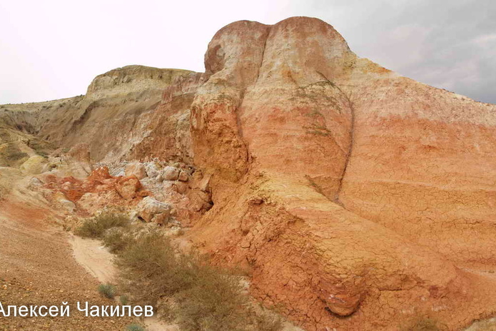 Сегодня стартует ЕНТ